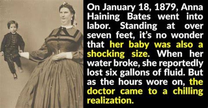 Anna Haining Bates Anna Haining Bates