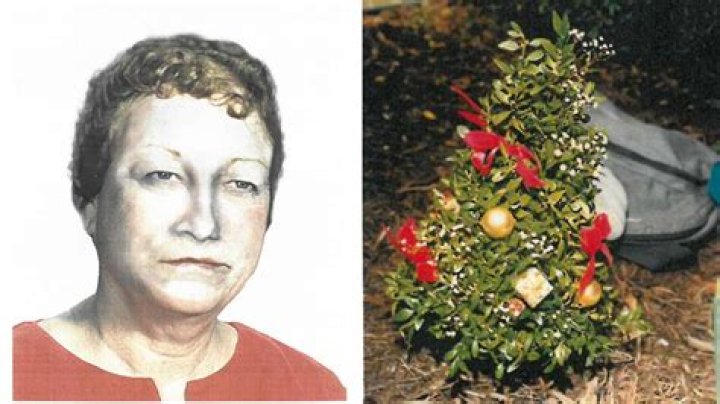 Christmas Tree Lady 