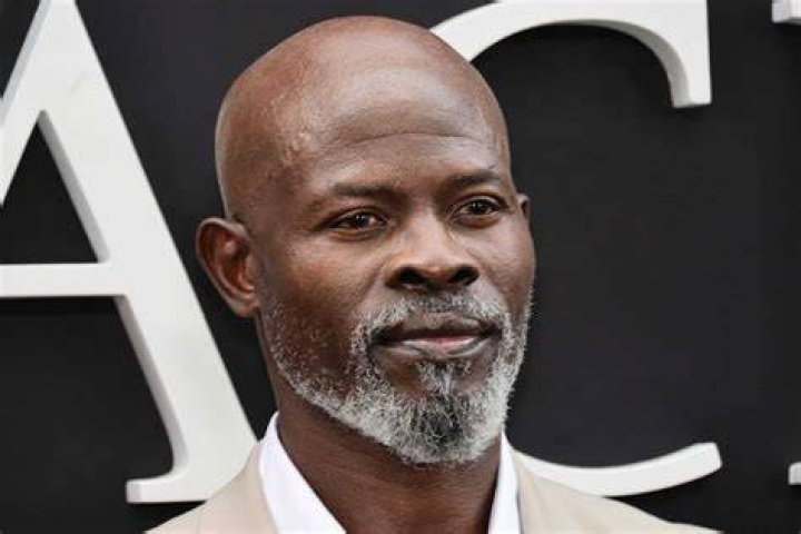 Djimon Hounsou Djimon Hounsou