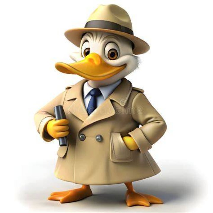 Duck Clever