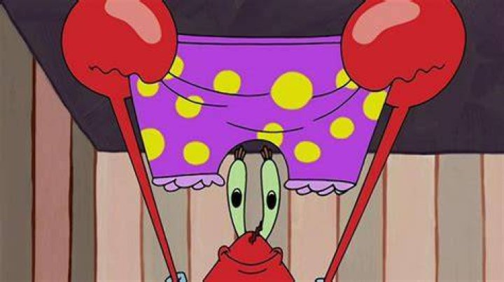 SpongeBob panty raid